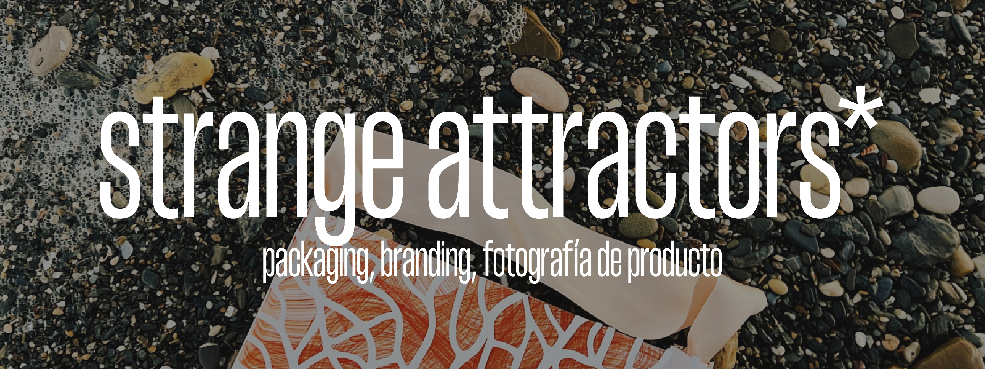 Strange Attractors info